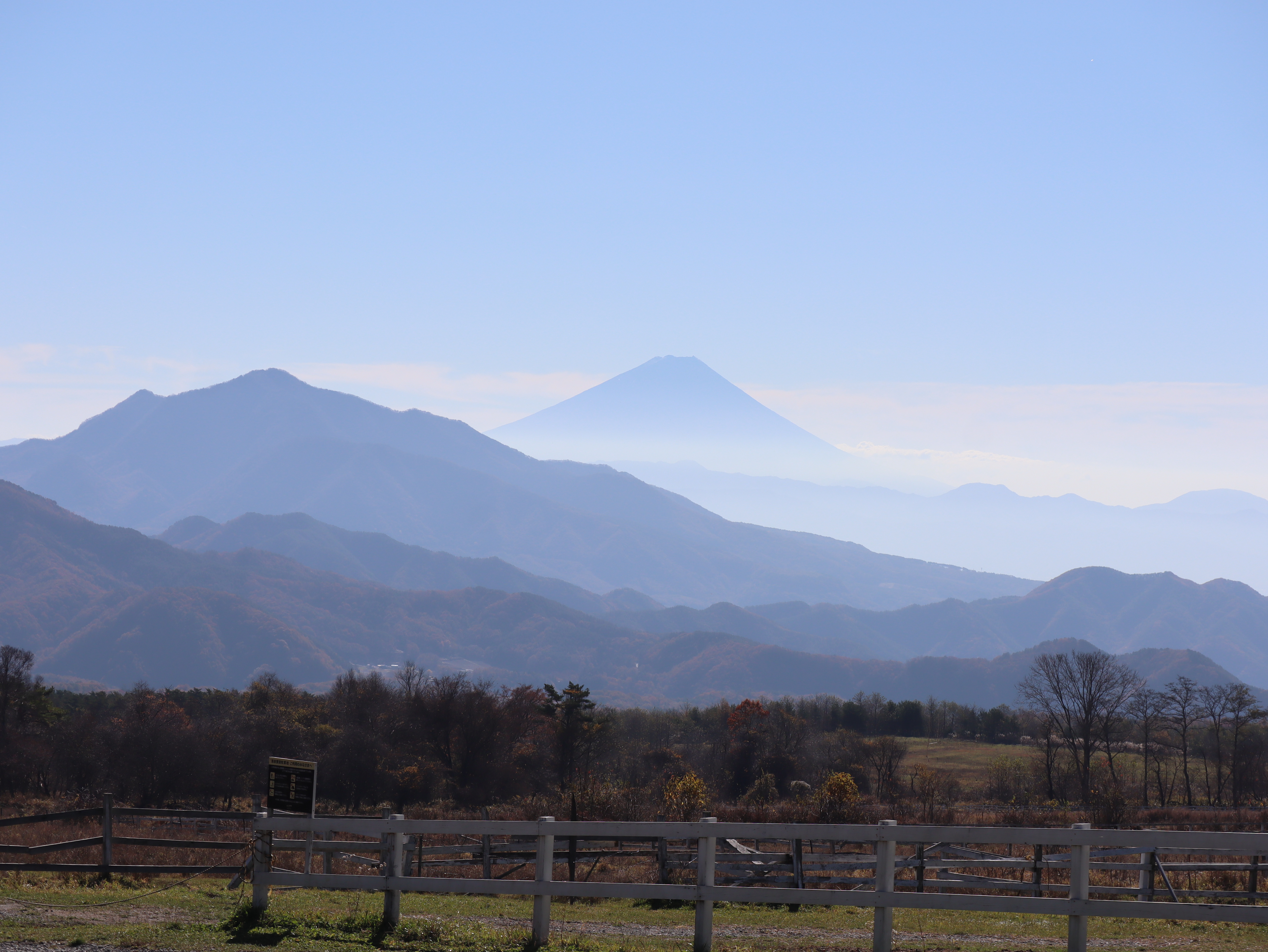清泉寮からの富士山