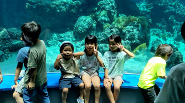 家族５人でドライブしながら、初めての美ら海水族館へ さん