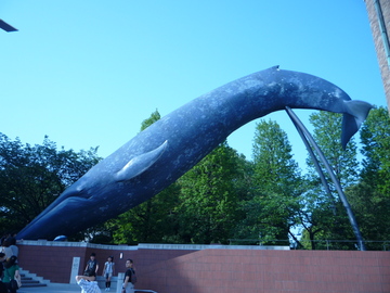 巨大なクジラのモニュメントは壮観 佐波さん