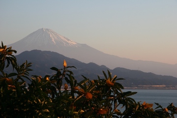 富士山の夜明けがきれい kumaさん