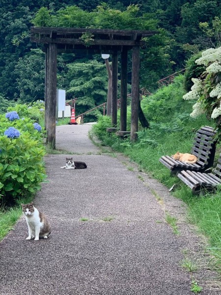 お散歩でも楽しめる!宮ヶ瀬ダム