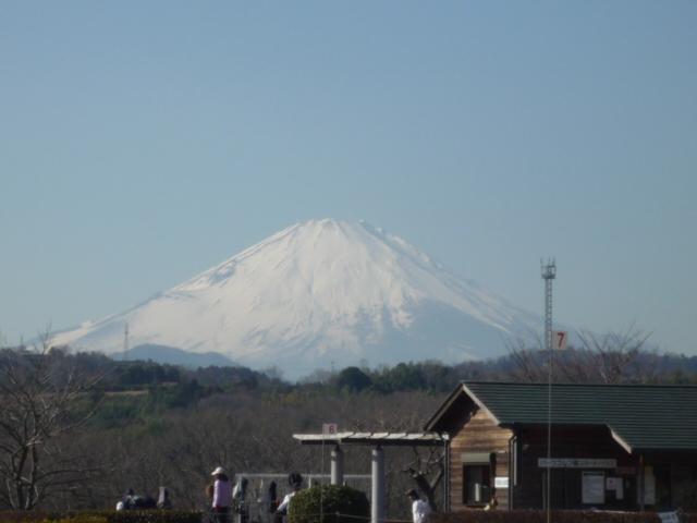 白さがちょうどいいね！富士山