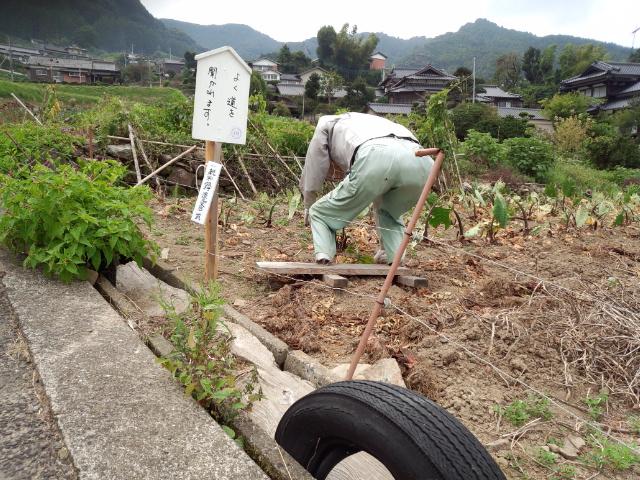 農作業をしているお爺さん