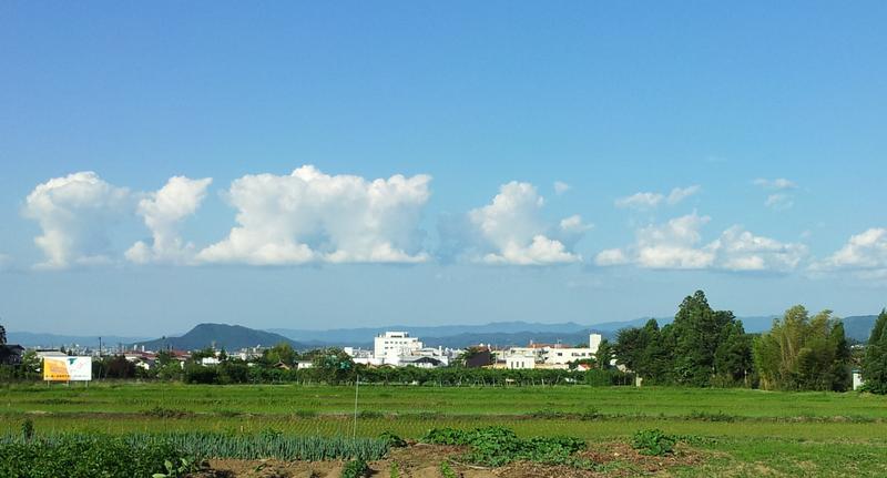 良いことがありそう。