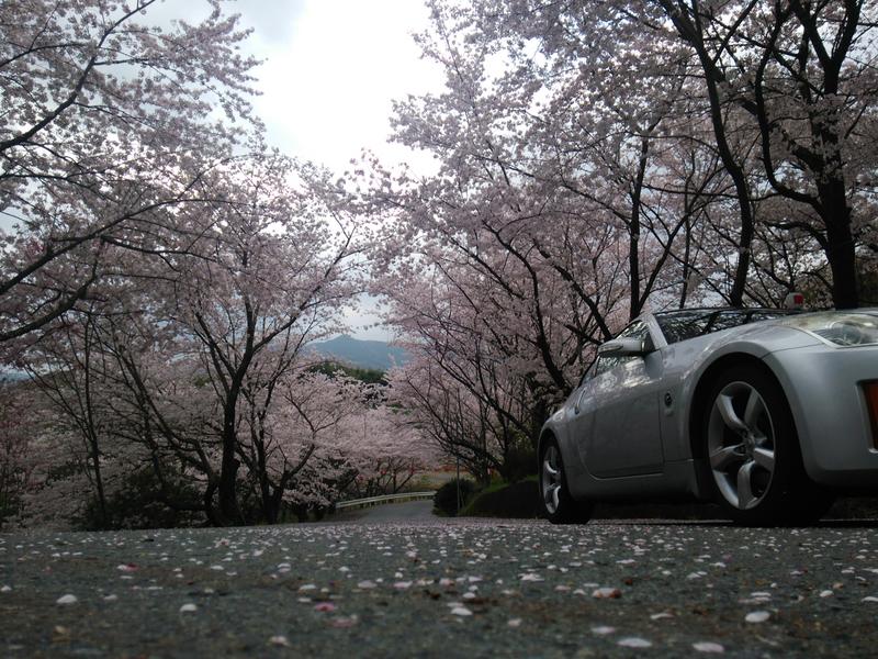 桜を追いかけて…
