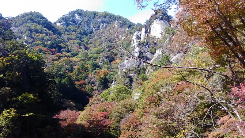 仙人が宿る、墨絵の世界の紅葉