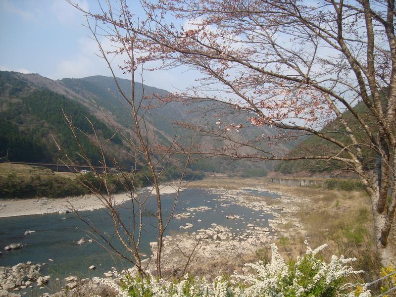 四万十川と咲き始めた川沿いの桜