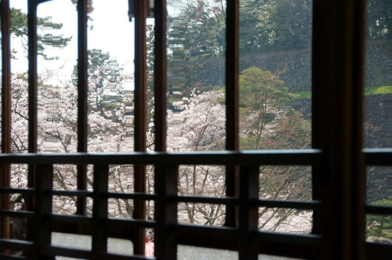 ガラス越しの桜