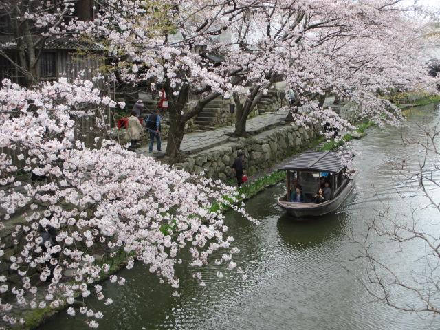 桜と舟