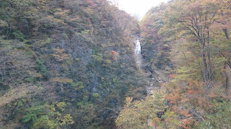 秋保大滝秋の始まりです！