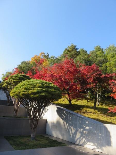 MIHO MUSEUM　紅葉