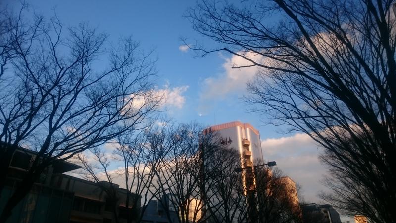 夕方の月