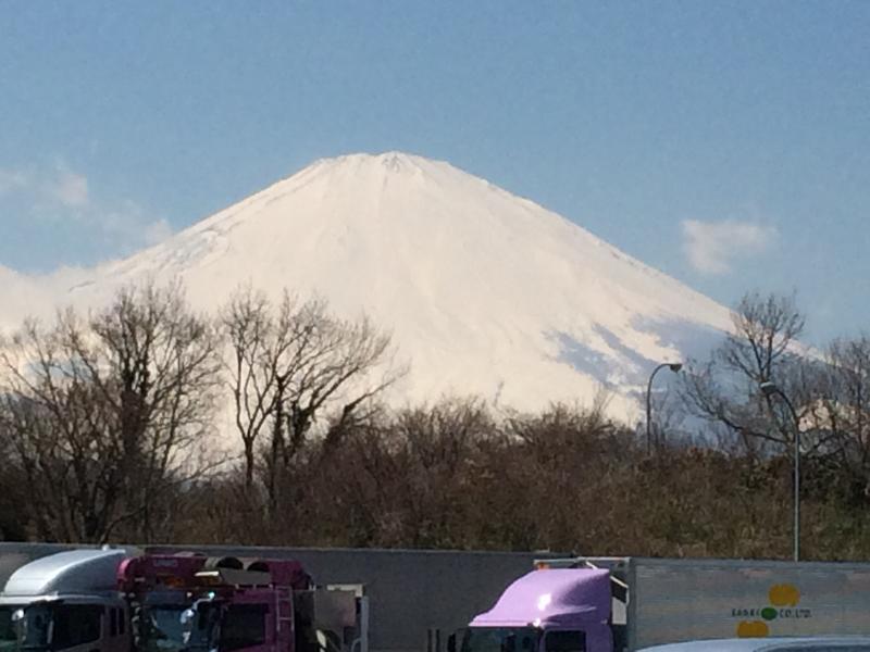 サービスエリアからの富士山