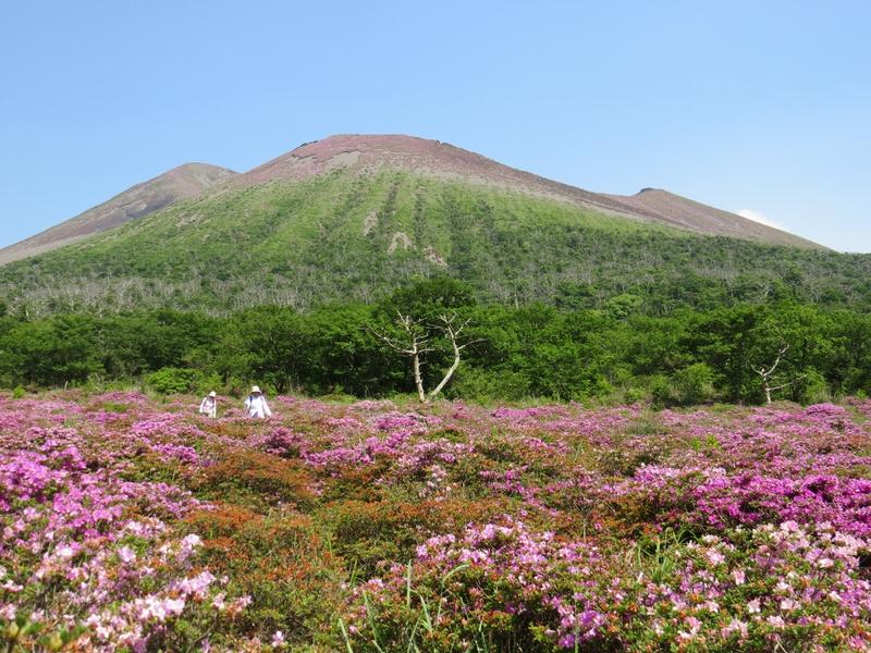 ミヤマキリシマと高千穂の峰