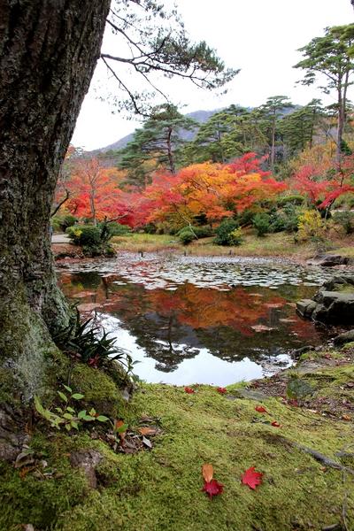 紅葉不見の池