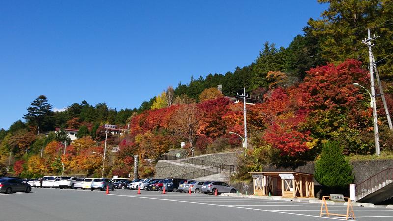 紅葉真っ盛りの三峯神社