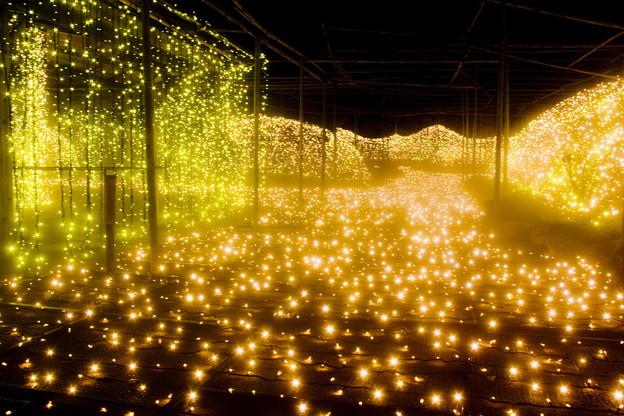 由志園黄金のトンネル