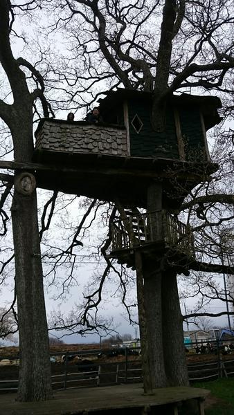 トムソーヤの秘密基地