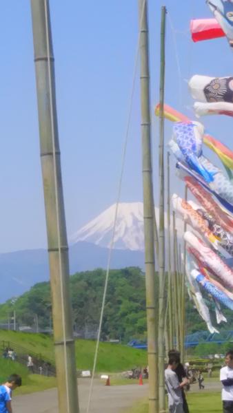 富士山とこいのぼり