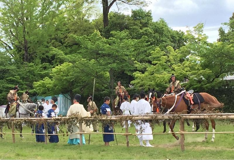 出走前・埒内の馬と乗尻（のりじり=騎手）