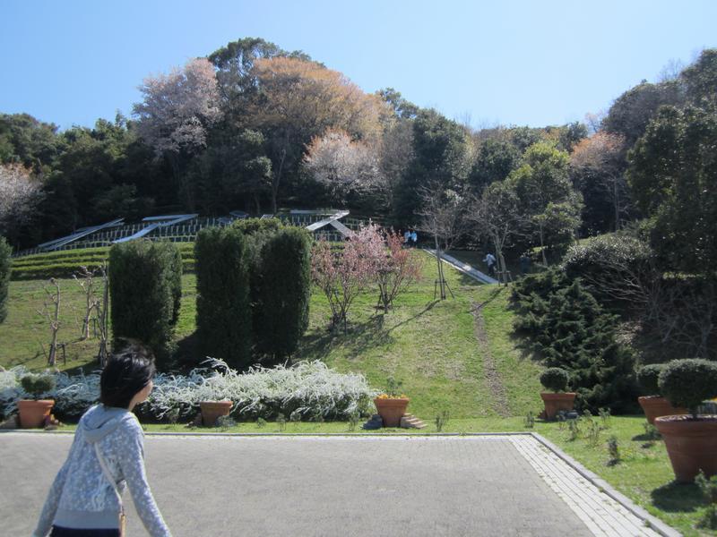 淡路ハイウェイオアシスにて