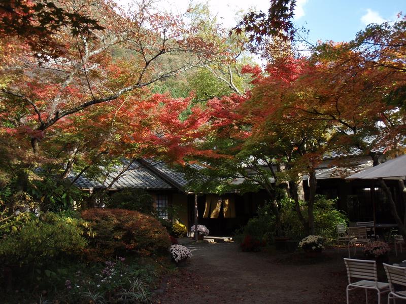 湯布院の秋