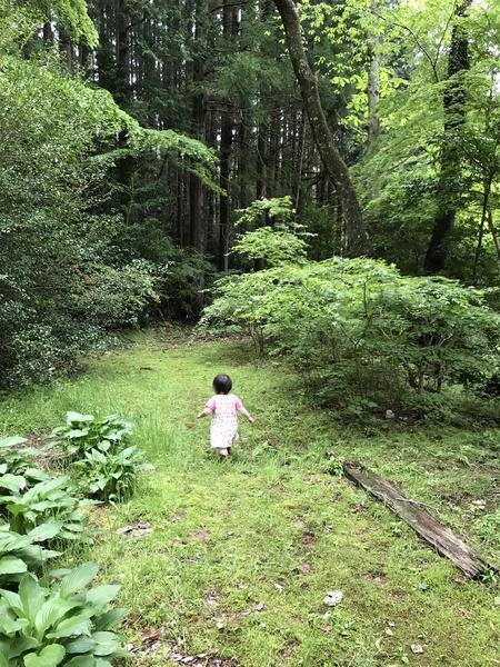 初めてのワゴン車［セレナ］