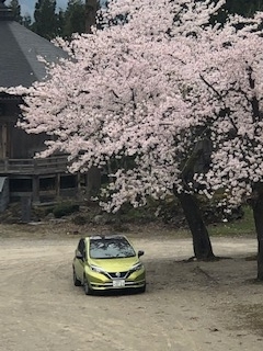 桜咲く春のノート