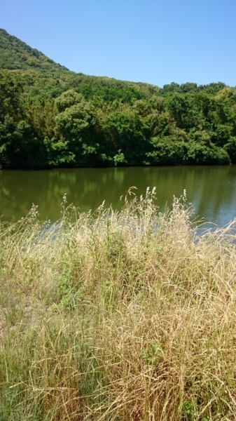 誕生日ドライブ