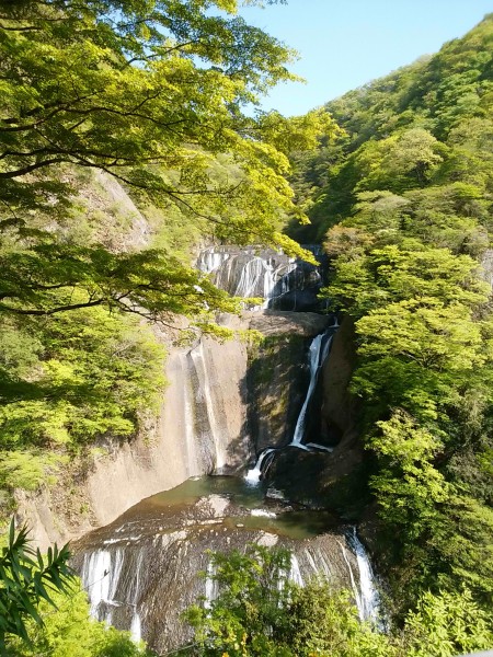 初夏の袋田の滝