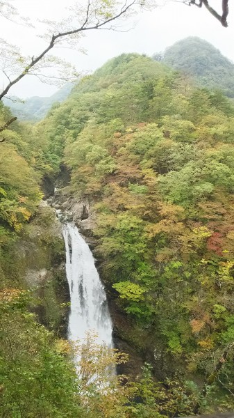 紅葉の始まり