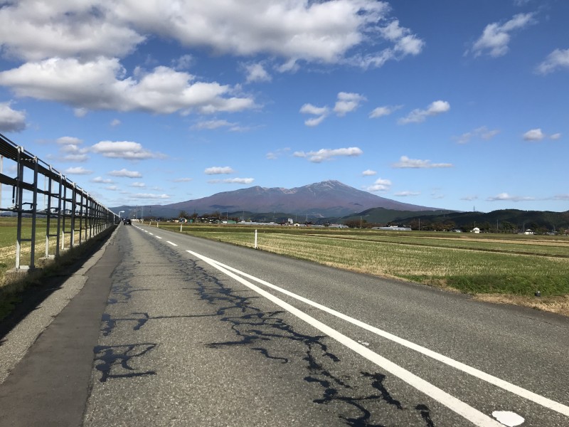 紅葉でパープルベルトもはっきり❣️