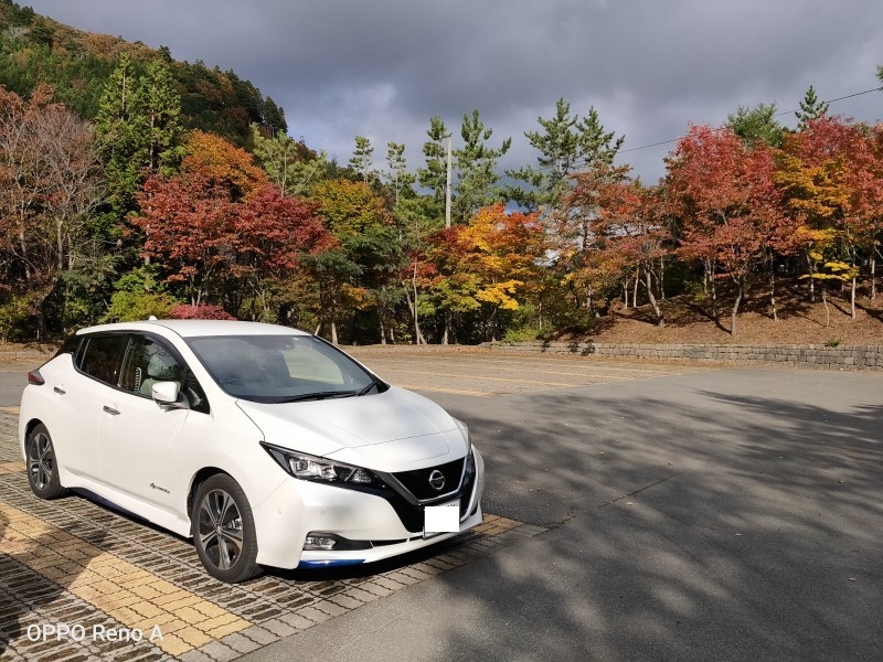 道の駅で、紅葉とリーフ