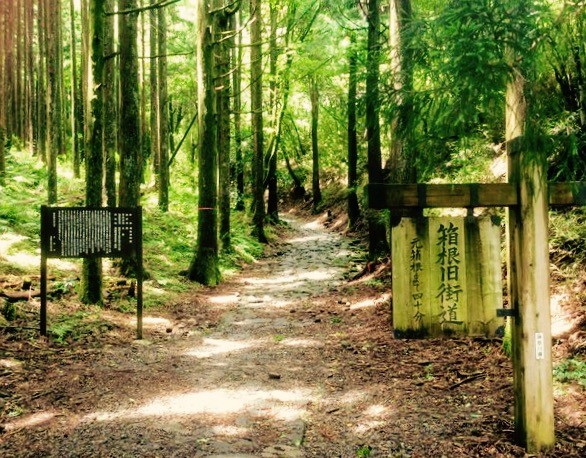 箱根旧街道