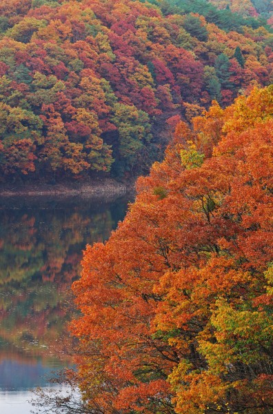 帝釈峡の紅葉