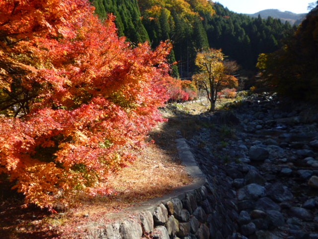 紅葉と福知渓谷