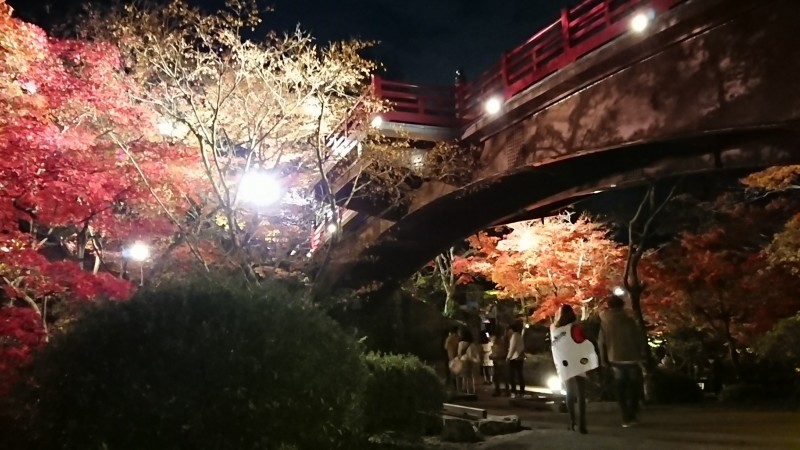 弥彦もみじ谷