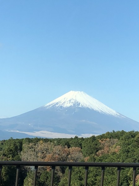 静岡