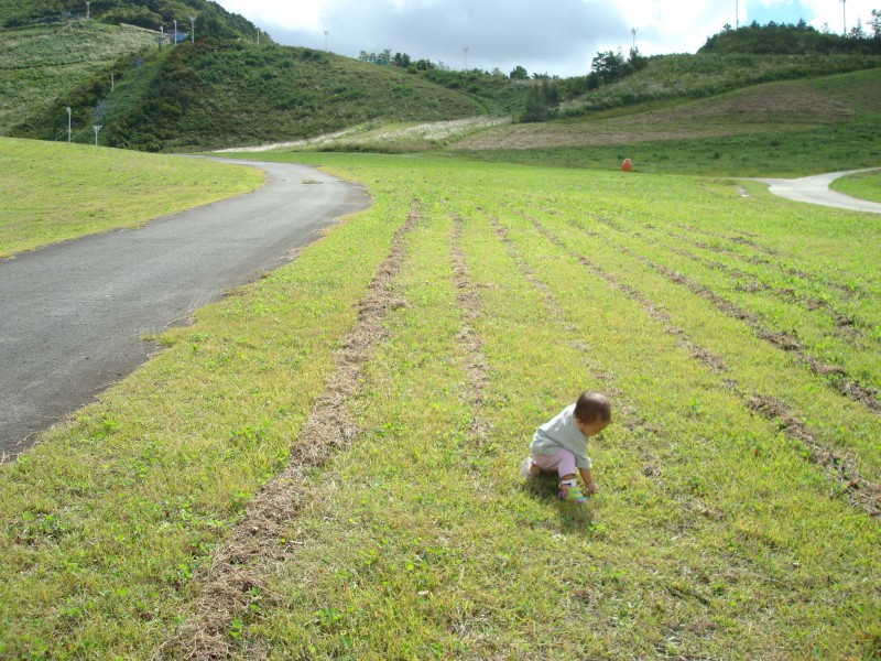 いつもの山