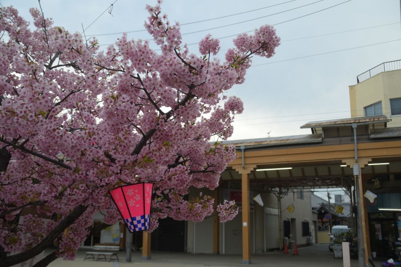 春の商店街