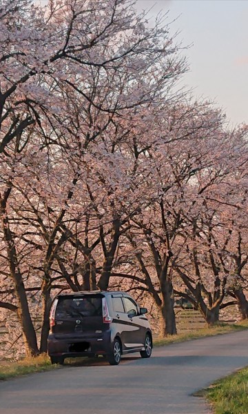 夕方の散歩