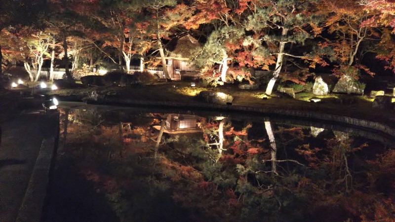 鏡の中の紅葉