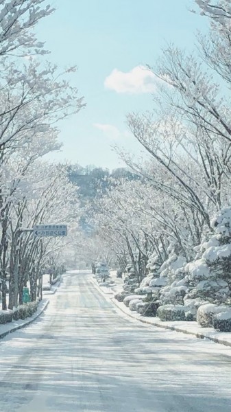 雪のトンネル