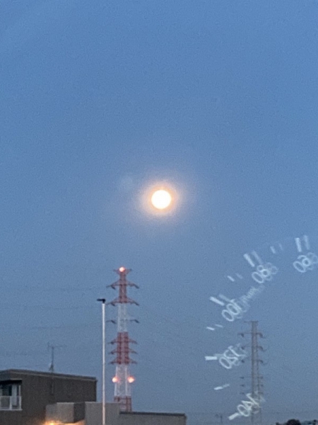 満月