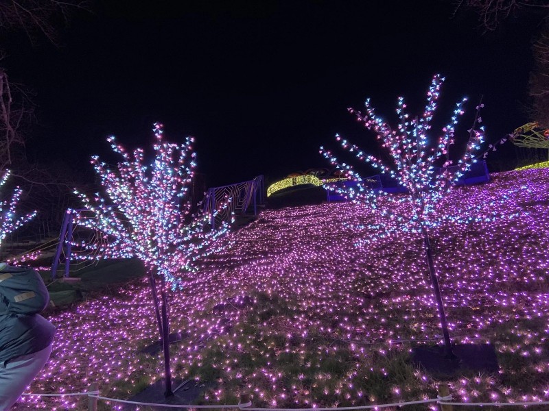 Christmas lights