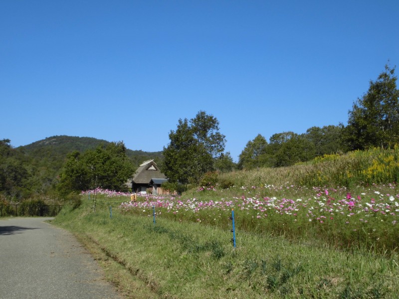 里山の秋