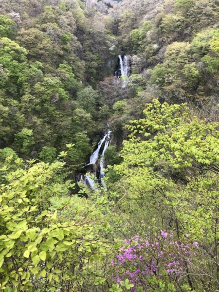 霧降の滝