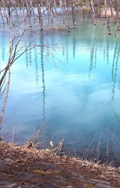 幻想的な青い池