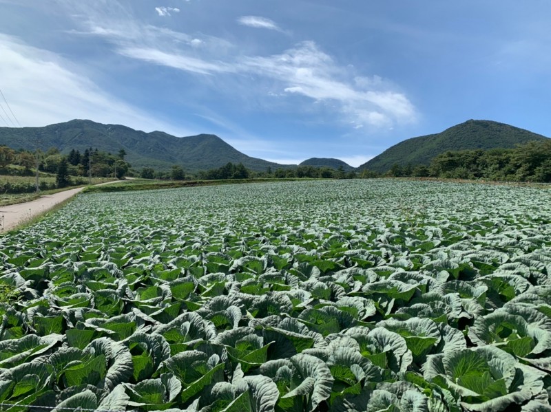 嬬恋村