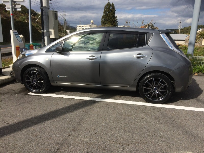 リーフと初ドライブ